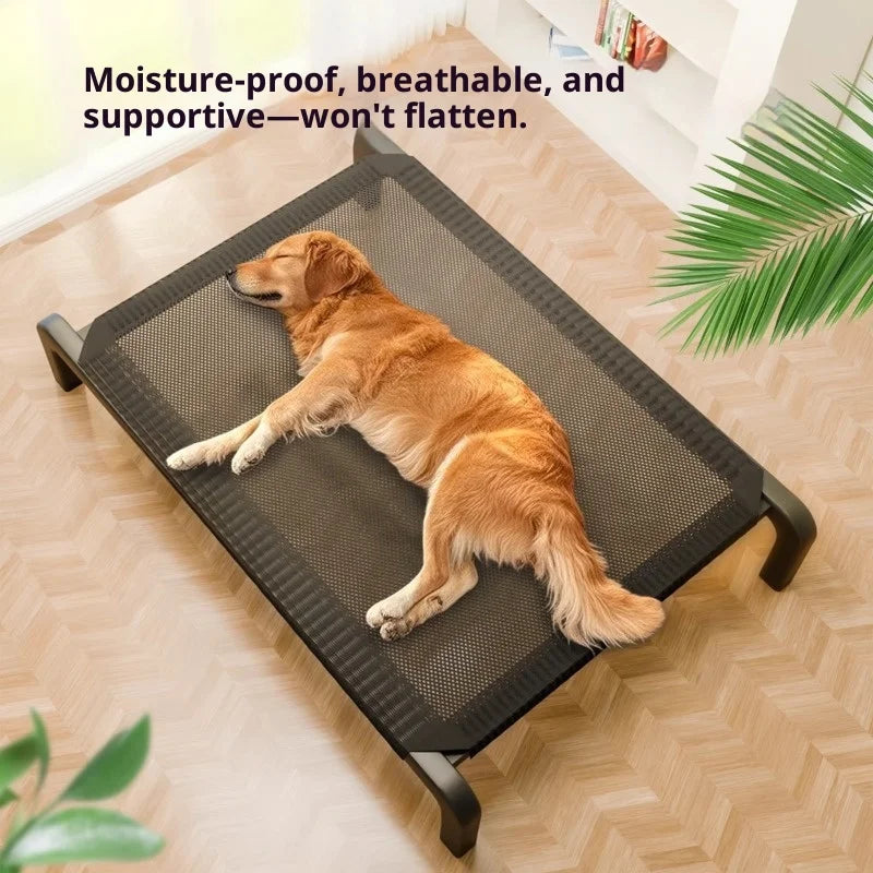 Elevated Outdoor Dog Bed