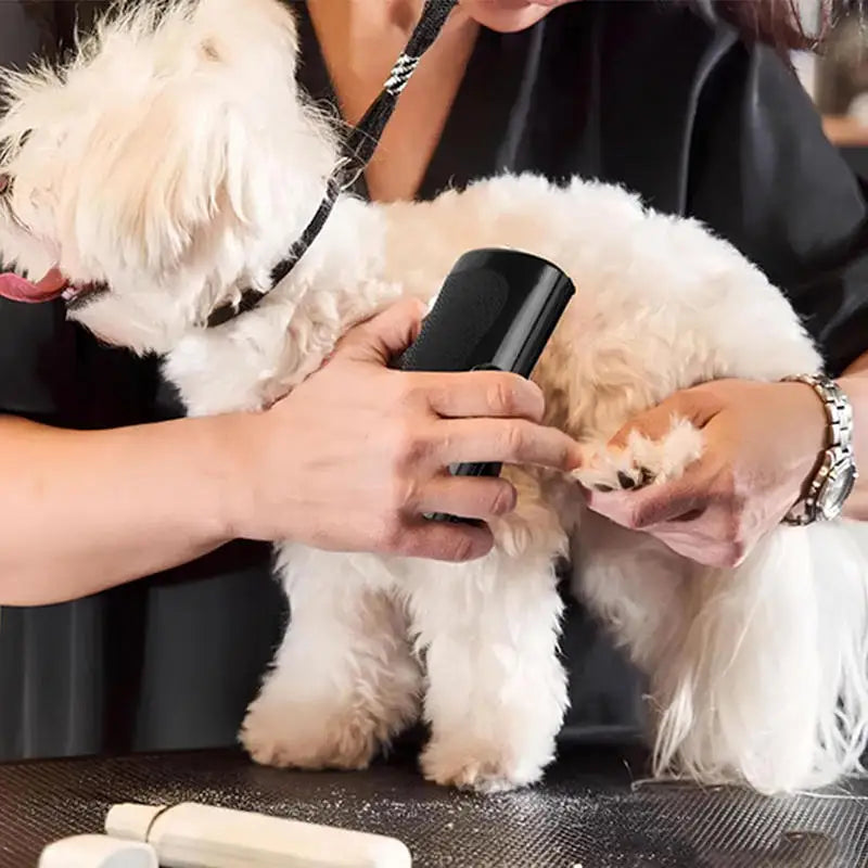 Pro Pet Deshedding Brush
