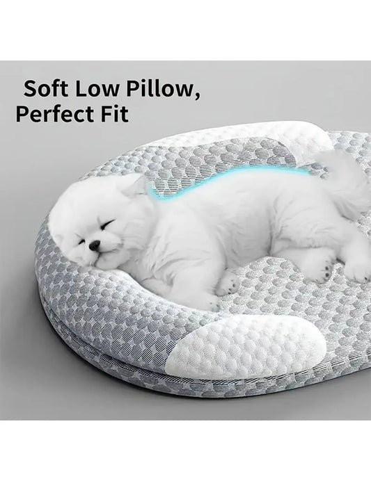 Refreshing Summer Dog Bed
